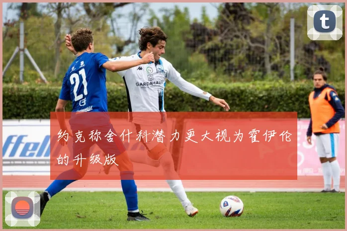 约克称舍什科潜力更大视为霍伊伦的升级版